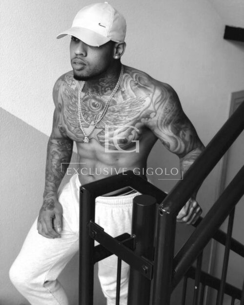 Alternative view of Mister Tattoo